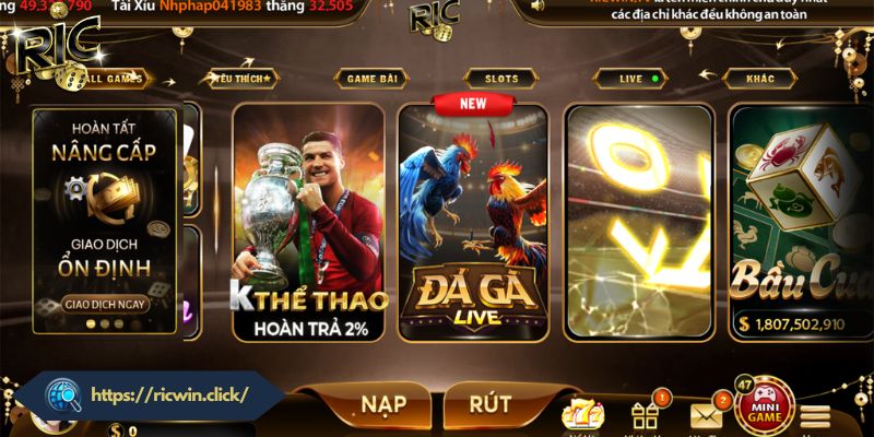 Vai trò của tham gia có trách nhiệm Ricwin